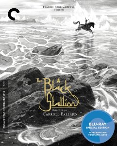 The Black Stallion Blu-ray