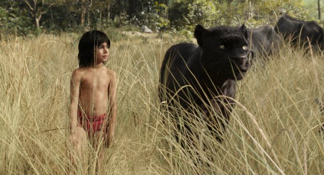 The Jungle Book Picture 2